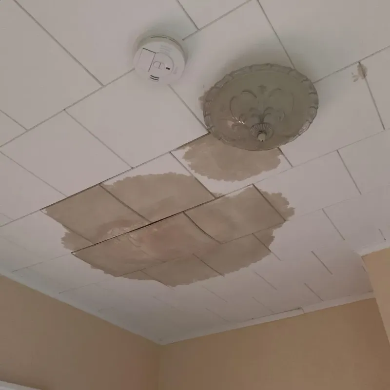 Ceiling Water Damage Repair in Harrison County, WV