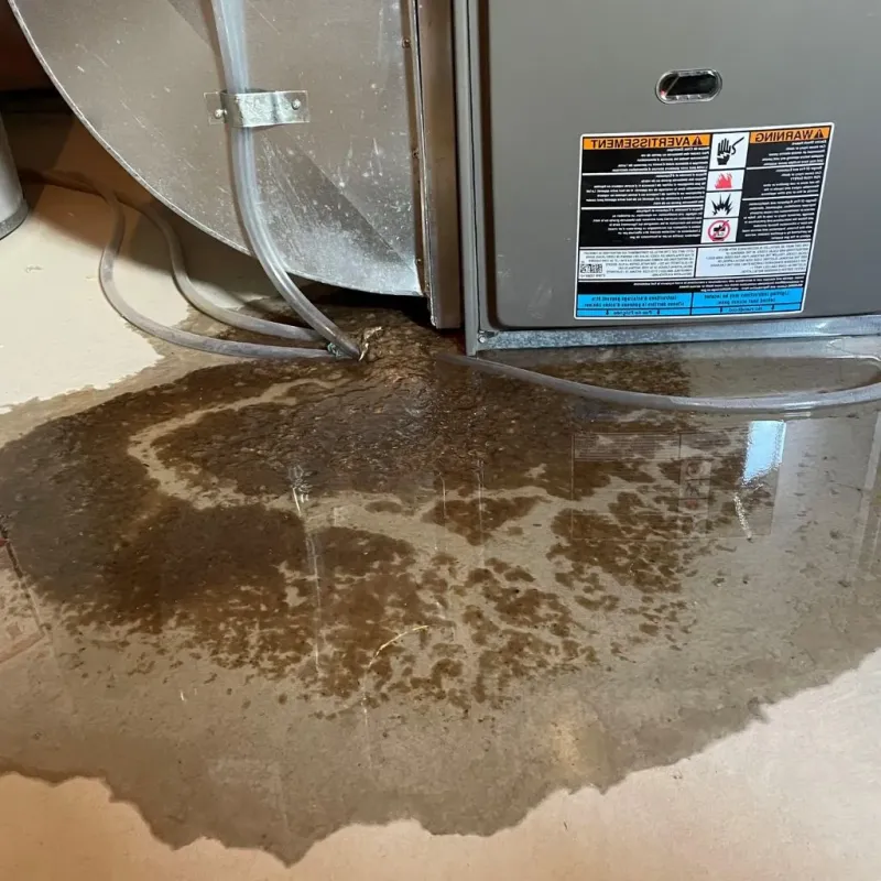 Pipe Burst and Leak Restoration in Harrison County, WV