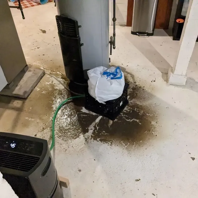 Sewage Backup Cleanup Service in Harrison County, WV